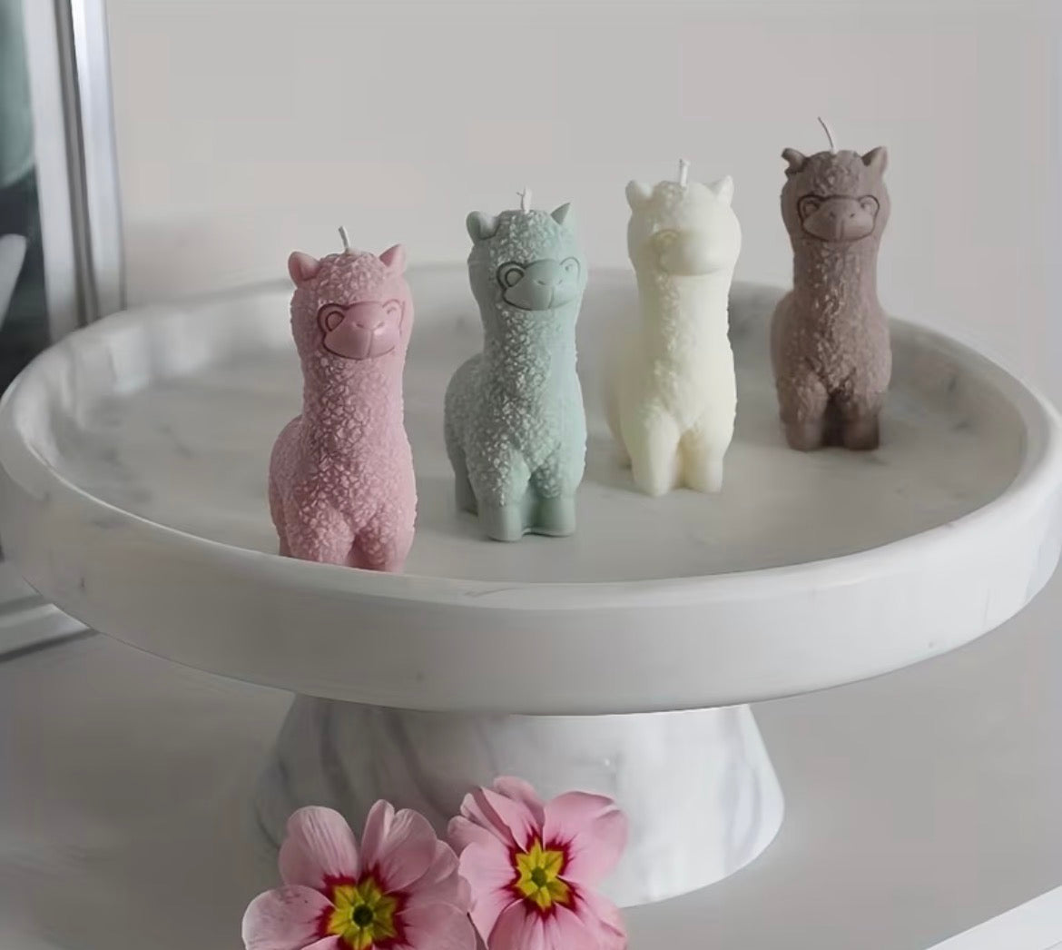 CANDALPACA